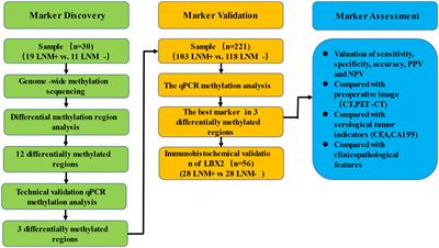 A novel DNA methylation marker to identify lymph node metastasis of colorectal cancer